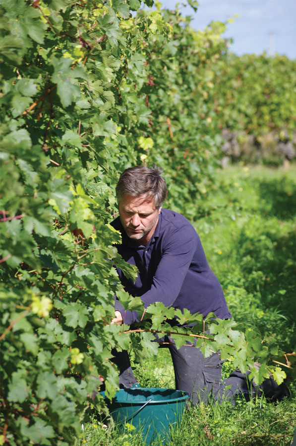 Mathieu Vallée image savoir-faire